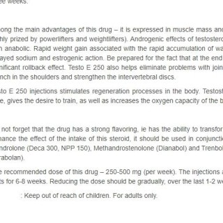 TESTO E 250 Para Pharma